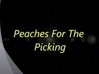 Peaches Ripe For The Picking Preview