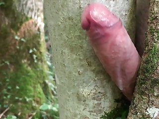 Masturbation outside with a tree and big cumshot no hands