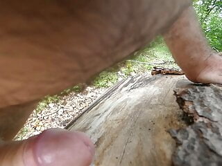 some fun in the woods part 2 (cuming)