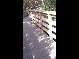 paja en el puente de madera