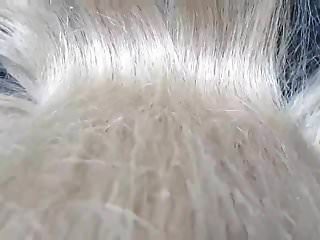 Meister - T - Naturblonde Haare