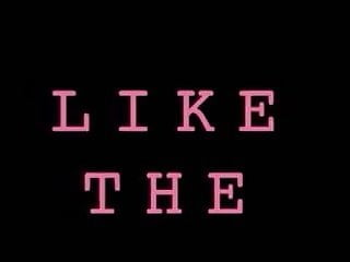 Erziehung einer Huendin - Bild 2