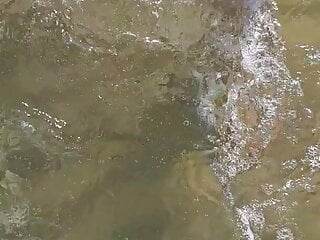 Im Wasser dwt nylons
