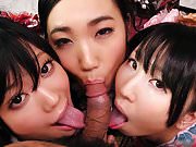 Three geishas sucking on one lonely cock