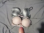 Cum on two used vs pink bras