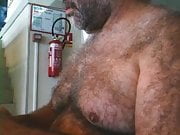 Hairy bear