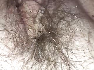 Hairy, Creampied, Creampie, Hairy Creampies