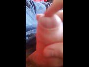 Playing with my Cock, pre-cum rubbing