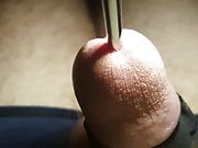 Closeup sounding a massive rod, urethral sounding, precum