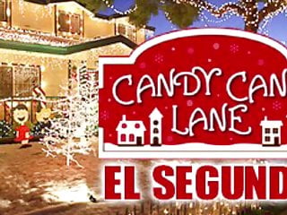 Candy Cane Lane Sia...