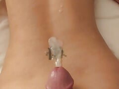 Anal plug sweet Asian taking a big white Dick doggy style. 