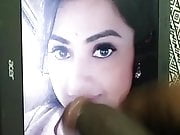 Meena South Indian MILF actress cocking tribute