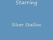 silver Stallion in Detroit
