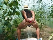 the horny gardener