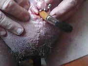 Urethra mit 12mm  X 250 mm Pinsel  dehnen mit Eichelpiercing