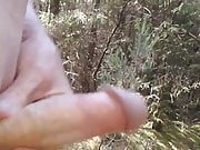 quick wank in the forest