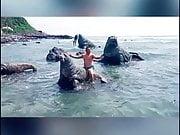 China Chubby Bear Beach Swimming Trunk Show