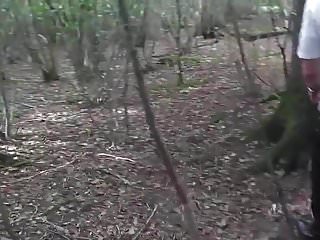 HD Videos, Forest, Outdoor, Outdoor Slave