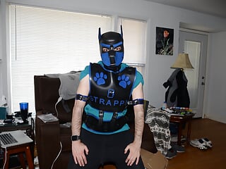 Jun 24 2023 - Unboxing my blue Bronco &amp; Magnus harness, and Pup Strappys first bork haha