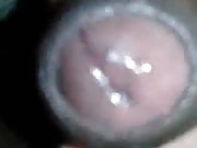 Gozando para as peitudas