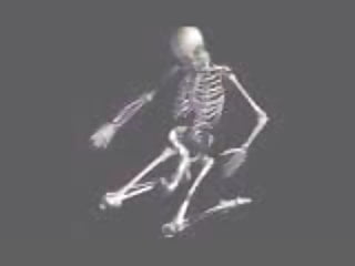 funny skeletons