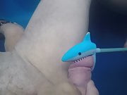 Shark bites dick