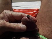 A Fly on my Cock