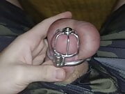 Permanent Chastity - Cumming under the blanket 