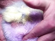 angora fuzzy-fluffy-furry