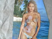 Gigi Hadid Tribute 1