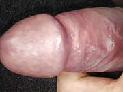 cbt19