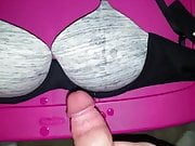Cum on Allison's new 36 D victoria secret bra