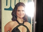 Hayley Atwell Thick Cum tribute