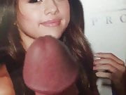 Selenagomezcum 2