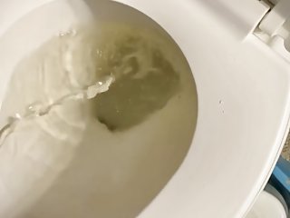 Trans Man Takes Long Messy Loud Piss With Stp Device...