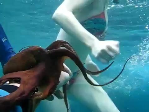 Girl Fucks Octopus