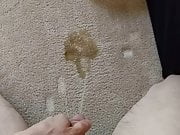 Pissing on my bedroom carpet