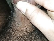 Shemale indian cock sucking ts