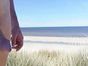 Nude walking through the Dutch dunes