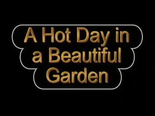 Hot, Hot Day, Stockings, Garden