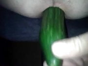 cucumber  fun