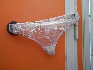 Panties left in a public loo in Bridport