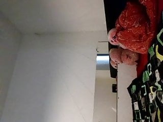 kleine ungarische katze.